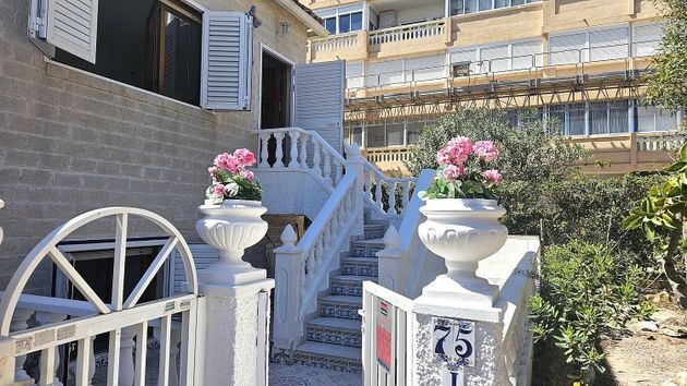 Foto 2 de Dúplex en venda a Torrelamata - La Mata de 3 habitacions amb terrassa i jardí