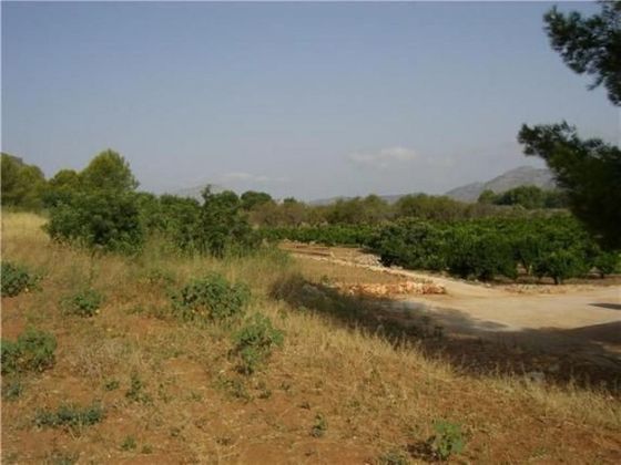 Foto 2 de Venta de terreno en Pedreguer de 35000 m²