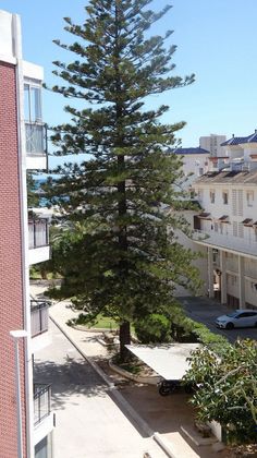 Foto 1 de Pis en venda a Arenal de 1 habitació amb terrassa i ascensor