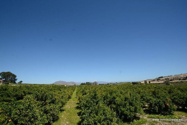 Foto 1 de Venta de terreno en Jacarilla de 40000 m²