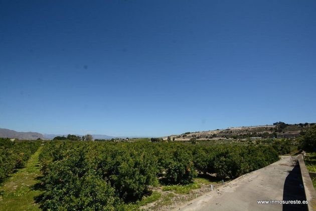 Foto 2 de Venta de terreno en Jacarilla de 40000 m²