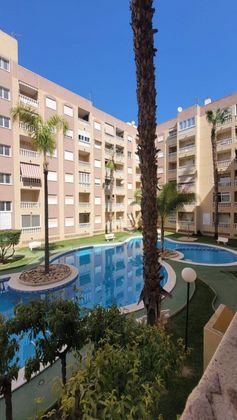 Foto 1 de Estudi en venda a calle San Julian Torreviejaa amb terrassa i piscina