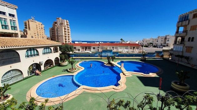 Foto 1 de Estudi en venda a Torrelamata - La Mata amb terrassa i piscina