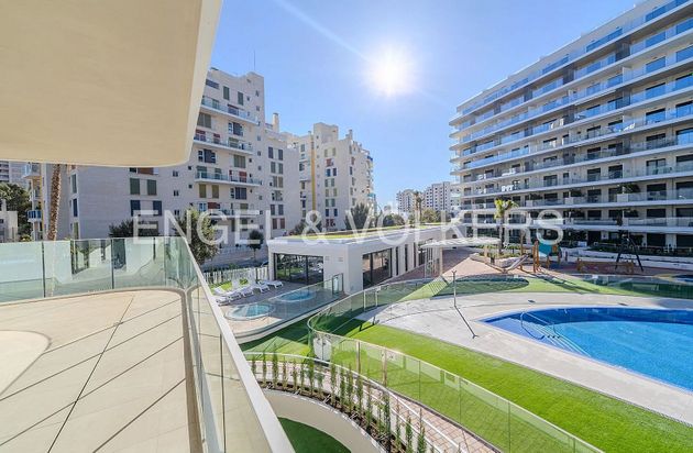 Foto 1 de Pis en lloguer a calle Violoncellista Vicente Perello de 3 habitacions amb terrassa i piscina