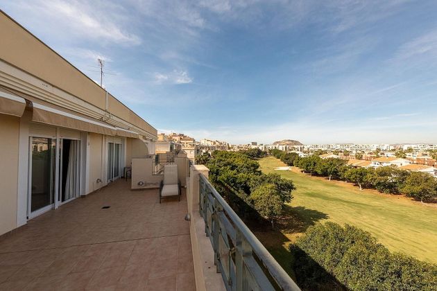 Foto 2 de Venta de ático en Alicante Golf de 3 habitaciones con terraza y piscina