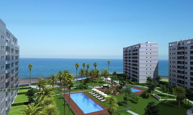 Foto 2 de Piso en venta en Playa Flamenca - Punta Prima de 2 habitaciones con terraza y piscina