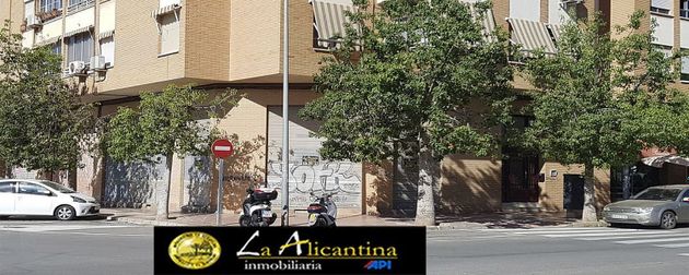 Foto 2 de Local en lloguer a Centro - San Vicente del Raspeig/Sant Vicent del Raspeig de 126 m²