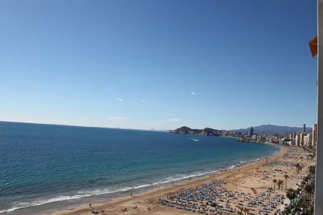 Foto 2 de Local en venda a Playa de Levante amb terrassa