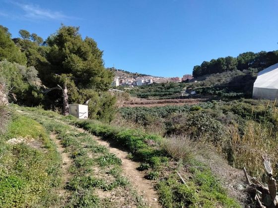 Foto 2 de Venta de terreno en Callosa d´En Sarrià de 3898 m²