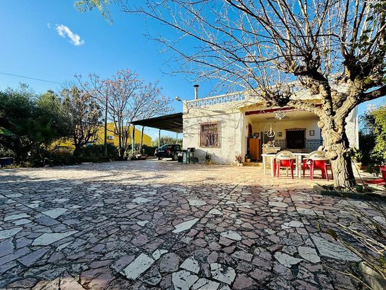 Foto 2 de Xalet en venda a La Algoda - Matola - El Pla de 4 habitacions amb terrassa i piscina