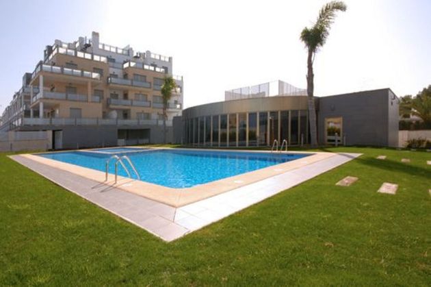 Foto 1 de Venta de dúplex en Oliva Nova de 2 habitaciones con terraza y piscina