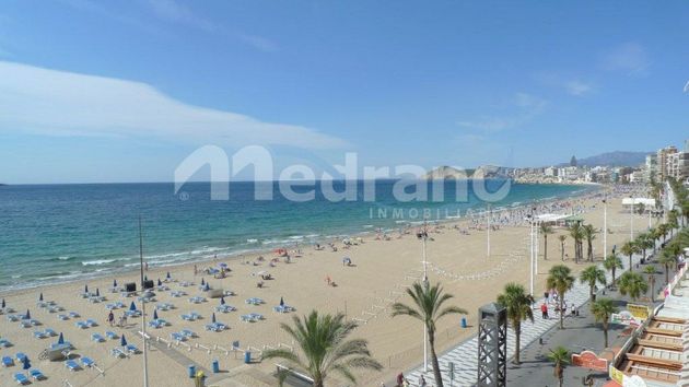 Foto 1 de Pis en lloguer a Playa de Levante de 1 habitació amb terrassa i piscina