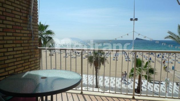 Foto 2 de Alquiler de piso en Playa de Levante de 1 habitación con terraza y piscina
