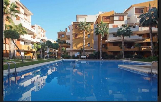 Foto 2 de Ático en venta en urbanización Punta Prima de 3 habitaciones con terraza y piscina
