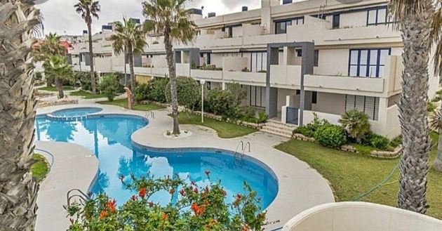 Foto 2 de Alquiler de piso en Torrelamata - La Mata de 2 habitaciones con terraza y piscina