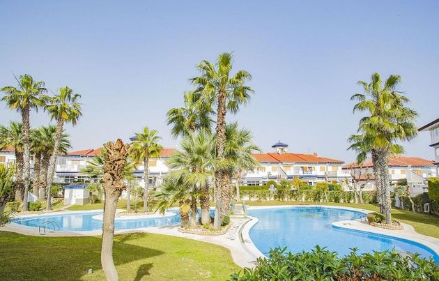 Foto 1 de Estudi en venda a Torrelamata - La Mata amb terrassa i piscina