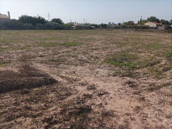 Foto 1 de Venta de terreno en La Algoda - Matola - El Pla de 17000 m²