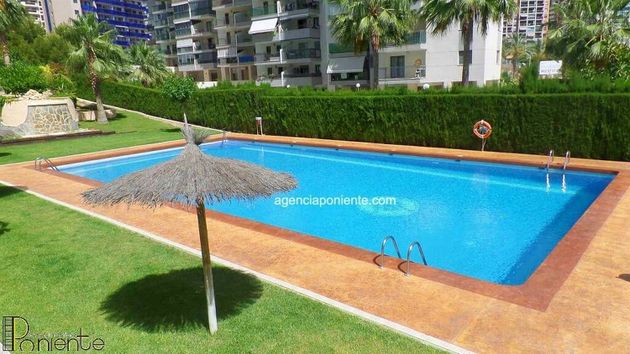 Foto 1 de Piso en venta en La Cala de Villajoyosa de 1 habitación con terraza y piscina