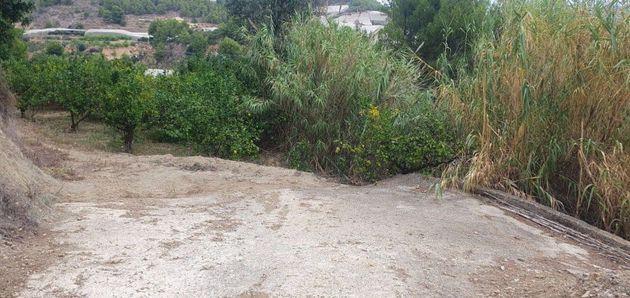 Foto 2 de Venta de terreno en Callosa d´En Sarrià de 6000 m²