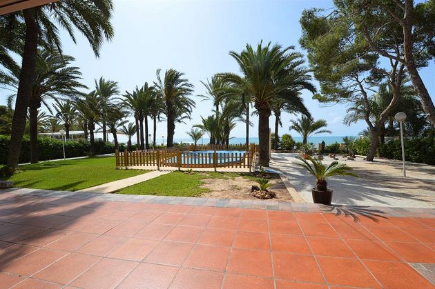 Foto 2 de Chalet en venta en Playa Flamenca - Punta Prima de 12 habitaciones con terraza y piscina