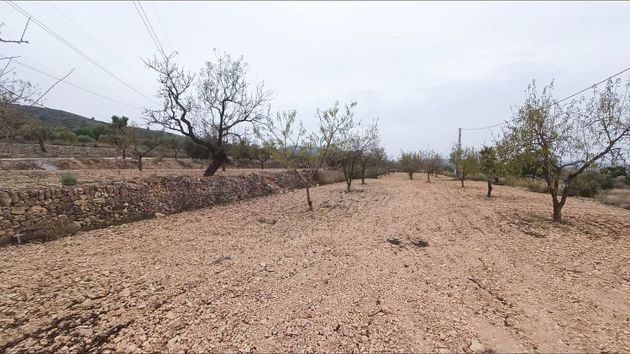 Foto 1 de Venta de terreno en Hondón de los Frailes de 5000 m²
