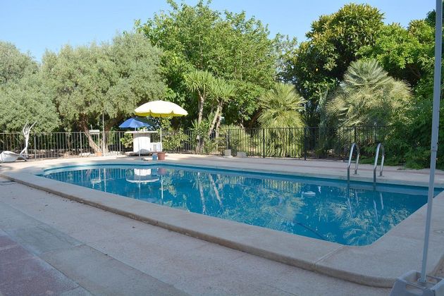 Foto 2 de Xalet en venda a Crevillent de 5 habitacions amb terrassa i piscina