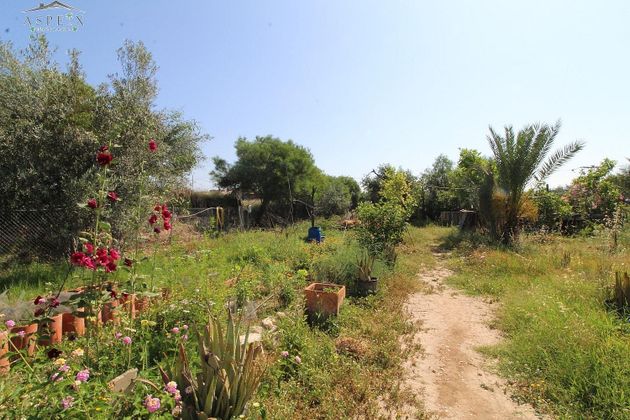 Foto 2 de Casa rural en venda a Aspe de 5 habitacions amb jardí