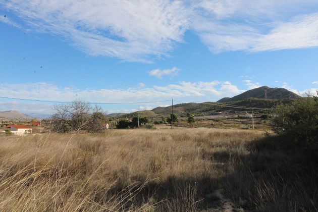 Foto 2 de Venta de terreno en Hondón de los Frailes de 14250 m²