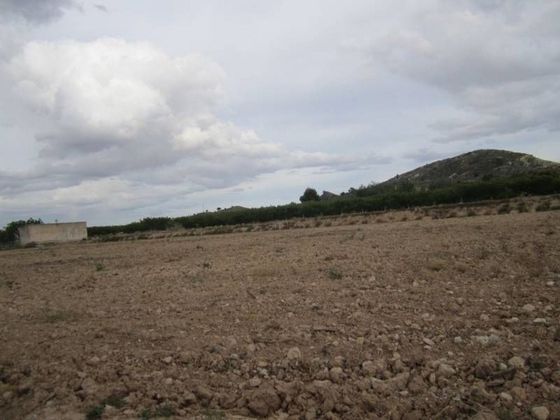 Foto 1 de Venta de terreno en Aspe de 8000 m²