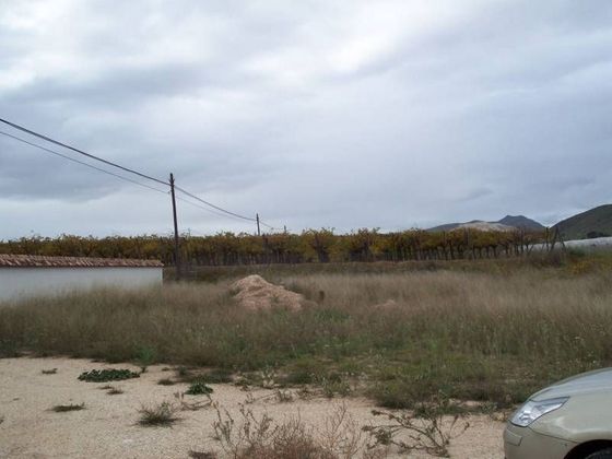Foto 1 de Venta de terreno en Hondón de los Frailes de 10000 m²