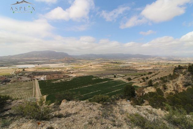Foto 1 de Venta de terreno en Monforte del Cid de 420000 m²