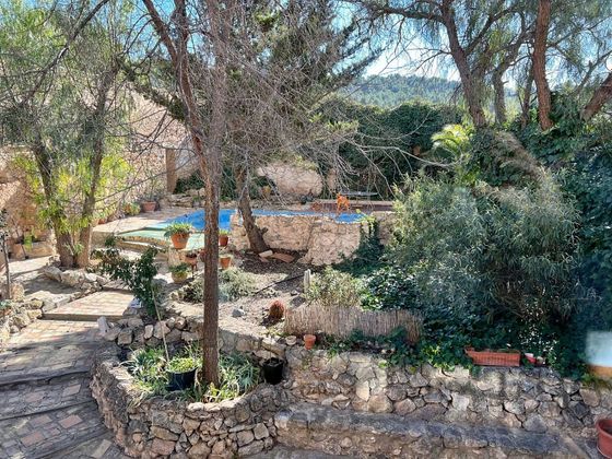 Foto 2 de Xalet en venda a Campo de Mirra/Camp de Mirra (el) de 11 habitacions amb terrassa i piscina