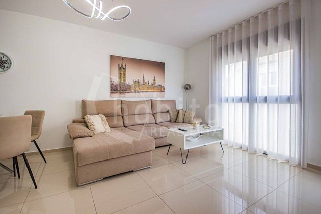 Foto 2 de Piso en venta en Montesinos (Los) de 1 habitación con terraza y aire acondicionado
