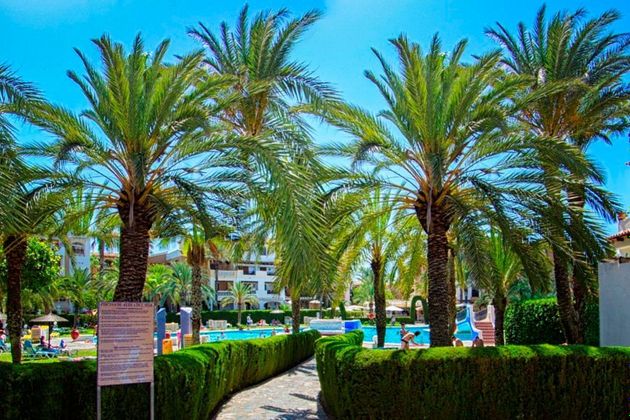 Foto 2 de Pis en venda a Playa de los Locos de 3 habitacions amb terrassa i piscina