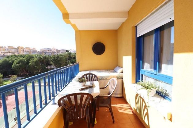 Foto 2 de Alquiler de piso en Dehesa de Campoamor - La Regia - Aguamarina de 1 habitación con terraza y piscina