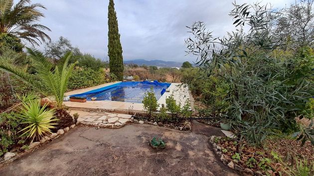 Foto 1 de Xalet en venda a Romana (la) de 2 habitacions amb terrassa i piscina