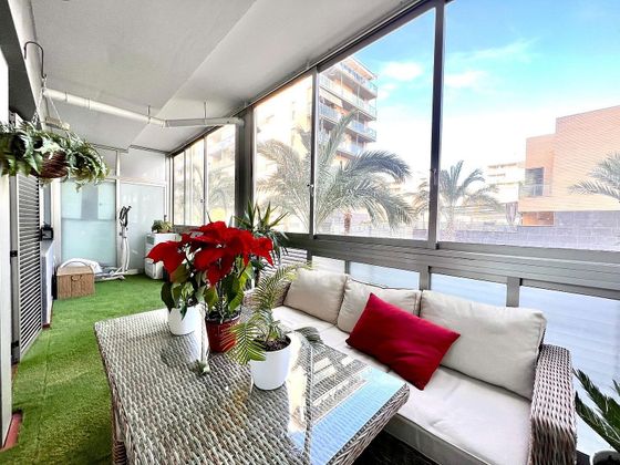 Foto 1 de Venta de piso en Nou Altabix de 2 habitaciones con terraza y piscina