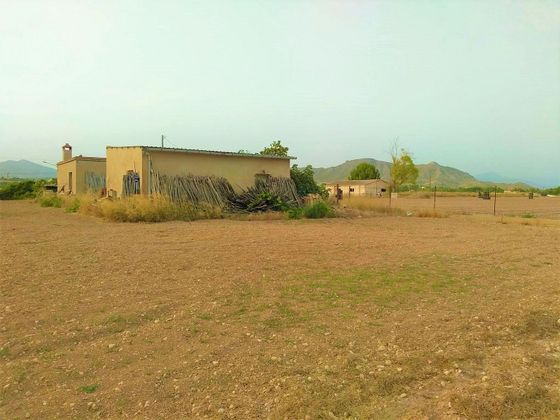 Foto 2 de Venta de terreno en Aspe de 12000 m²