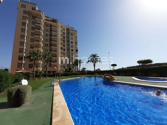 Foto 1 de Venta de piso en calle Medico Basilio Paredes Gomez de 1 habitación con terraza y piscina