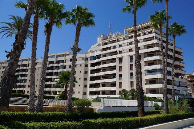 Foto 2 de Pis en venda a Zona Levante - Playa Fossa de 2 habitacions amb terrassa i piscina