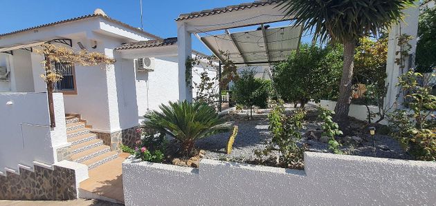 Foto 2 de Venta de chalet en Pinar de Campoverde de 3 habitaciones con terraza y piscina