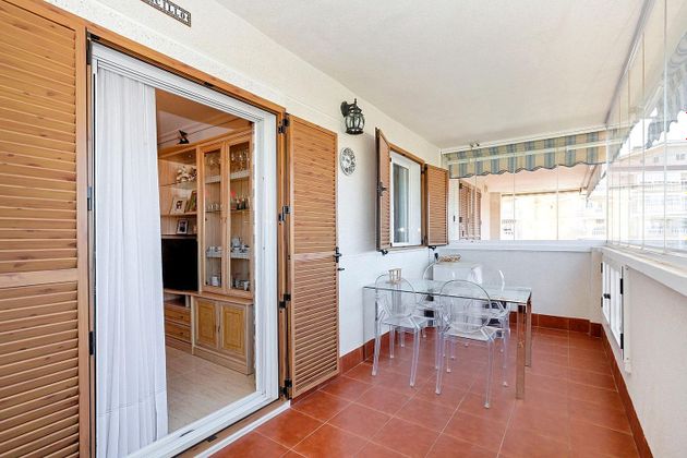 Foto 2 de Pis en venda a Torrelamata - La Mata de 1 habitació amb terrassa i piscina