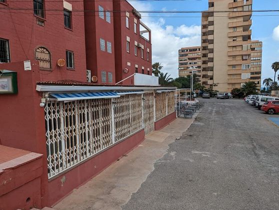 Foto 2 de Local en venda a Torrelamata - La Mata amb terrassa