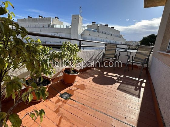 Foto 1 de Pis en venda a calle Assagador de la Marjal de 1 habitació amb terrassa i piscina