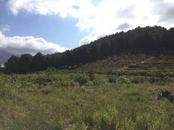 Foto 2 de Venta de terreno en Callosa d´En Sarrià de 8500 m²