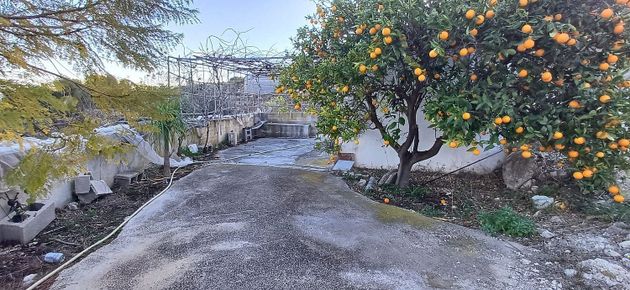 Foto 1 de Venta de terreno en Callosa d´En Sarrià de 6711 m²