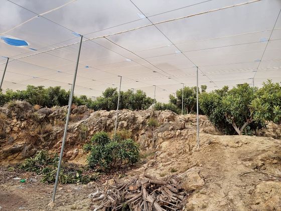 Foto 1 de Venta de terreno en Callosa d´En Sarrià de 15695 m²