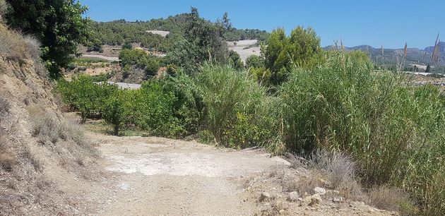 Foto 1 de Venta de terreno en Callosa d´En Sarrià de 6000 m²