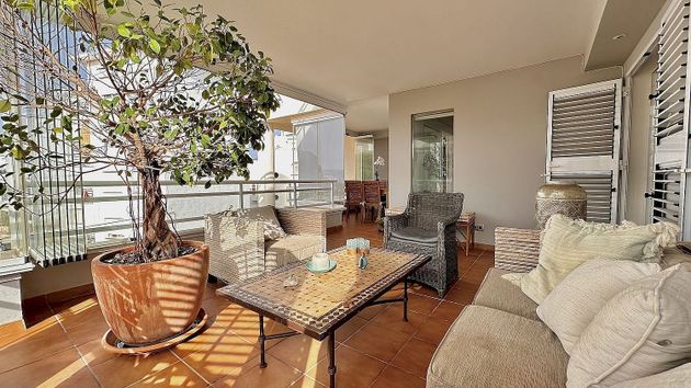 Foto 2 de Alquiler de piso en Arenal de 3 habitaciones con terraza y piscina