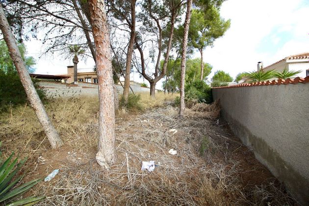 Foto 2 de Venta de terreno en Pinar de Campoverde de 1074 m²